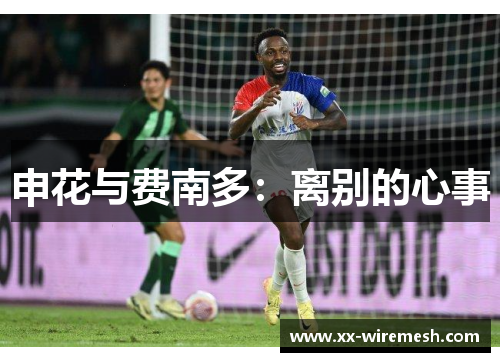 申花与费南多：离别的心事