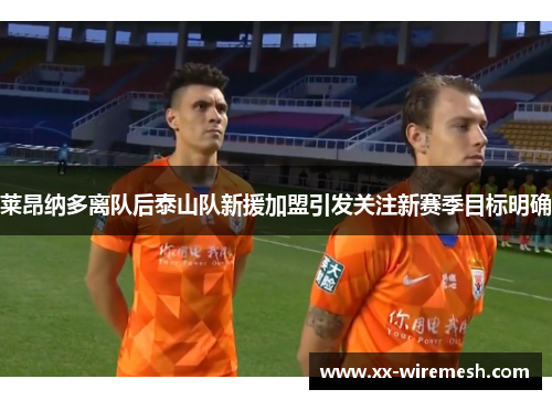 莱昂纳多离队后泰山队新援加盟引发关注新赛季目标明确