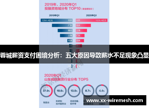 蓉城薪资支付困境分析：五大原因导致薪水不足现象凸显